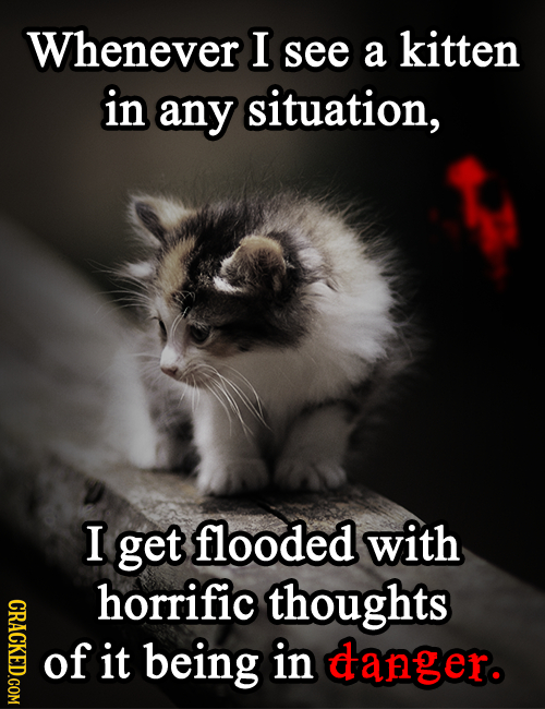 Whenever I see a kitten in any situation, I get flooded with horrific thoughts CRACKED.COM of it being in danger.