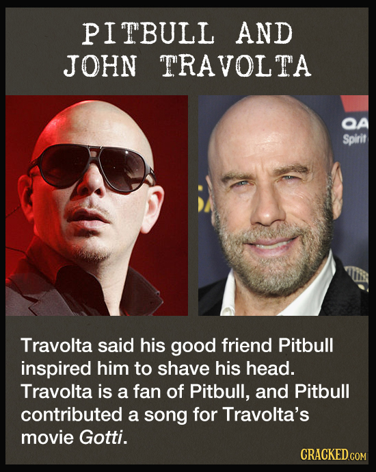 PITBULL AND JOHN TRAVOLTA QA Spirit Travolta said his good friend Pitbull inspired him to shave his head. Travolta is a fan of Pitbull, and Pitbull co