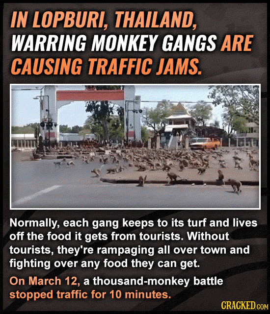 Total Left-Field Weirdness Caused By Coronavirus