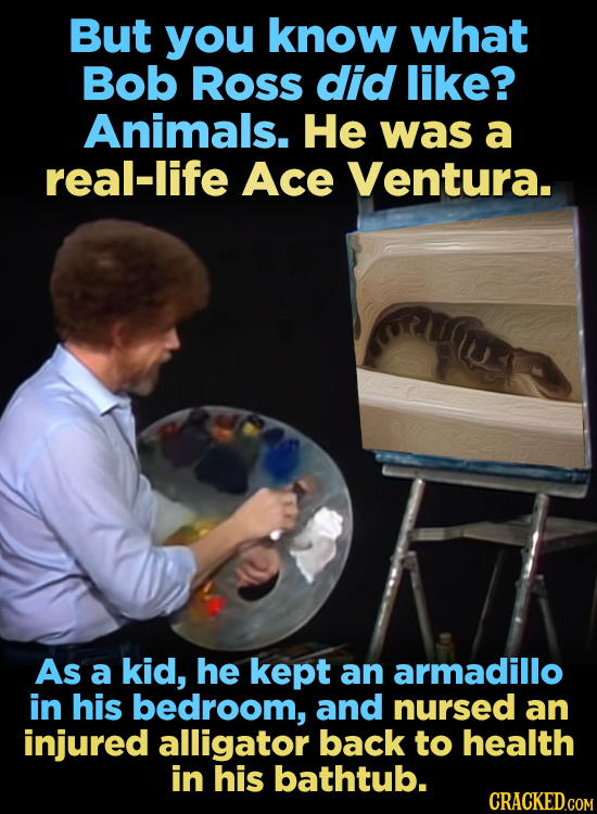 But you know what Bob Ross did like? Animals. He was a real-life Ace Ventura. As a kid, he kept an armadillo in his bedroom, and nursed an injured all