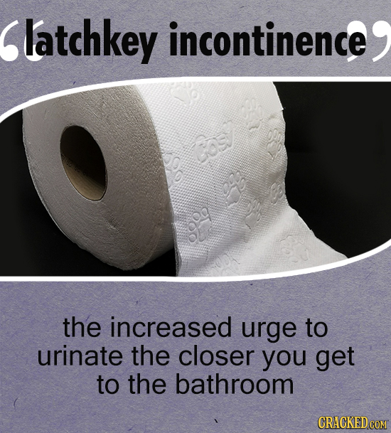 latchkey incontinence Co the increased urge to urinate the closer you get to the bathroom CRACKED COM