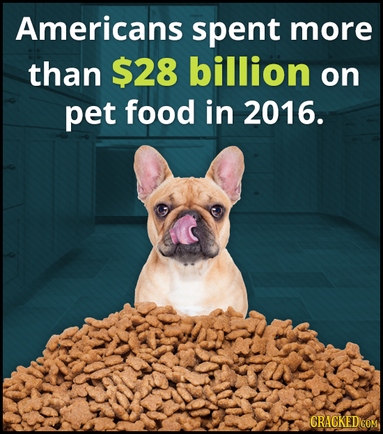 Americans spent more than $28 billion on pet food in 2016.