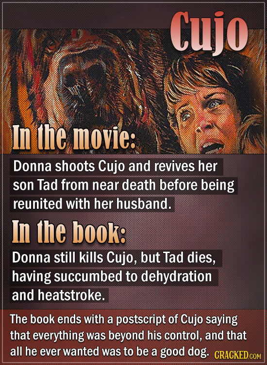 Cujo In the movie: Donna shoots Cujo and revives her son Tad from near death before being reunited with her husband. In the book: Donna still kills Cu
