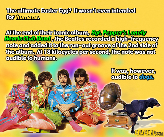 The ultimate Easter Egg? twasn'to even intended for humans. Atthe end of their iconic album, Sgt, Pepper'sLonely Hearts Club Band, the Beatles recorde