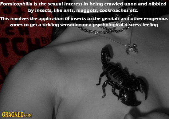 Formicophilia is the sexual interest in being crawled upon and nibbled by insects, like ants. maggots, cockroachese etc. This involves the application