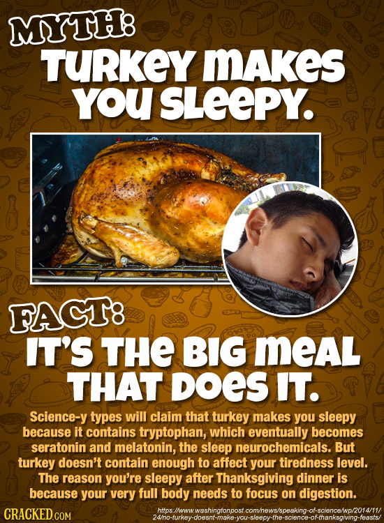 MYTH8 TURKEY MAkeS YoU SLEEPY. FAGT8 IT'S THE BIG MEAL THAT DOES IT. Science-y types will claim that turkey makes you sleepy because it contains trypt