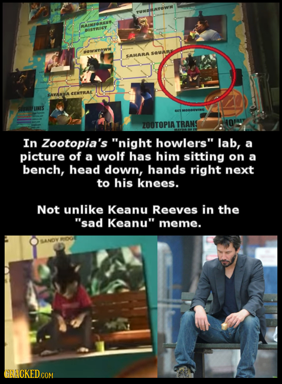 TUNDRATOWN RAINEOREST DISTRICT DOWNTOWM SQAR SAHARA SAVANA CENTRAL SUBWAY UNES SET MDDOvNG ZOOTOPIA TRANS In Zootopia's night howlers lab, a picture