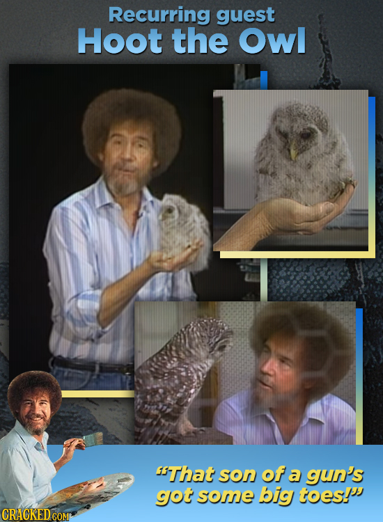 Recurring guest Hoot the Owl 5That son of a gun's gjot some big toes!'