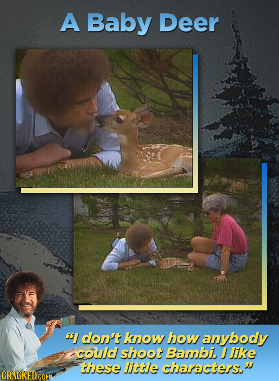 A Baby Deer HI don't know how anybody could shoot Bambi I like these little characters. CRACKED.COM