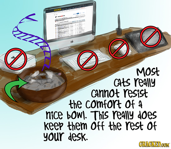CRACADD IILR Most cats really cannot resist the comfort Of a nice bowl. This really does keep them Off the rest of your desk. CRACKED.CON