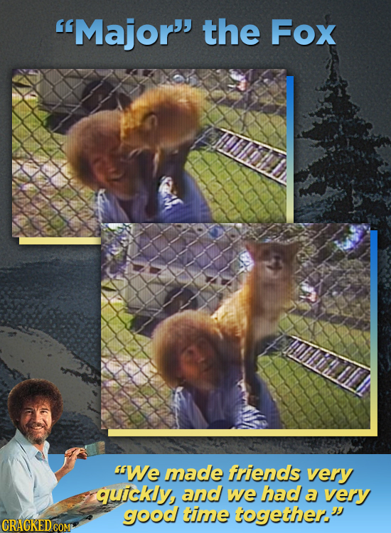 Major' the Fox We made friends very quickly and we had a very gJood time together.