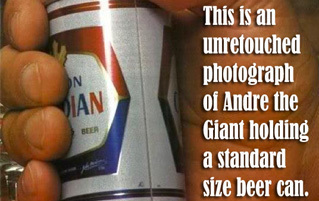 38 Real Size Comparisons That Will Make Your Head Explode