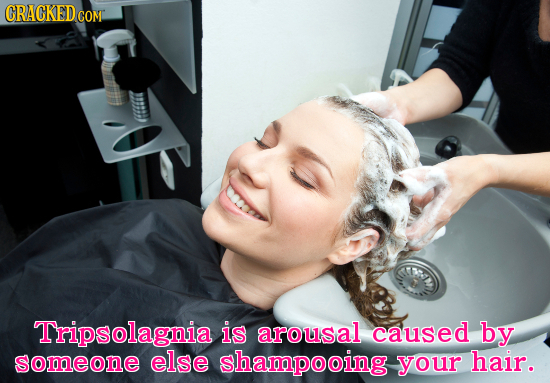 CRACKED CONL Tripsolagnia is arousal caused by someone else shampooing your hair. 