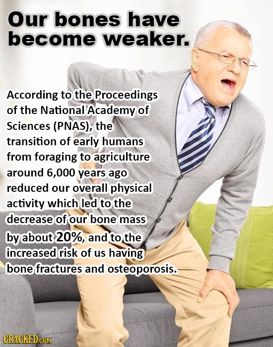Our bones have become weaker. According to the Proceedings of the National Academy of Sciences (PNAS), the transition of early humans from foraging to