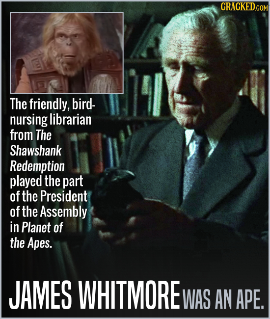 The friendly, bird- nursing librarian from The Shawshank Redemption played the part of the President of the Assembly in Planet of the Apes. JAMES WHIT