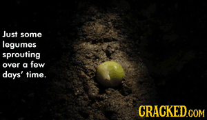 10 Sped-Up GIFs That Turn Normal Stuff Horrifyingly Awesome