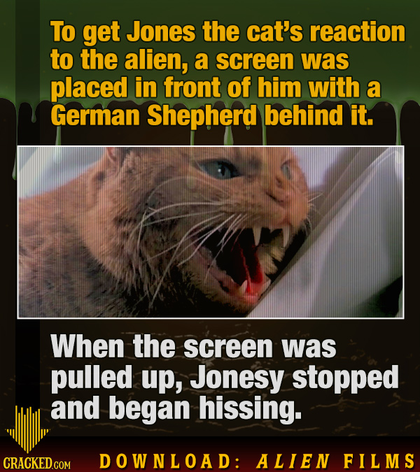 Download: 23 Movie Facts Spanning The Entire Alien Franchise