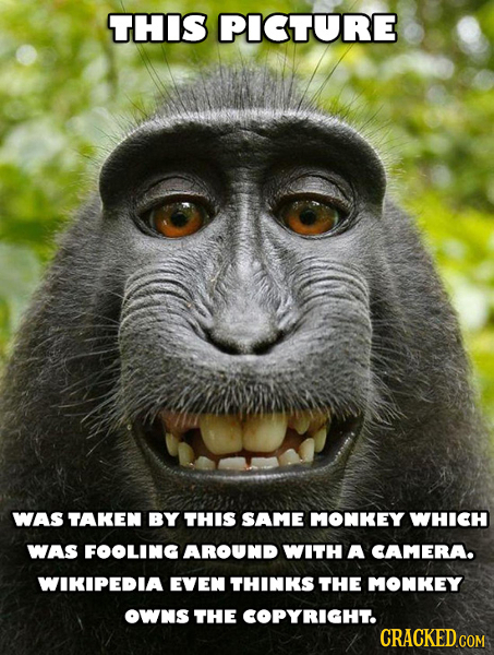 33 (Unexpected) Accomplishments Of Famous People