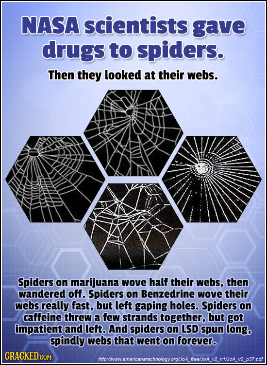 NASA scientists gave drugs to spiders. Then they looked at their webs. Spiders on marijuana wove half their webs, then wandered off. Spiders on Benzed