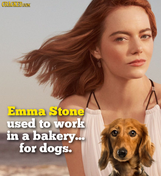 CRACKED Emma Stone used to work in a bakery... for dogs.
