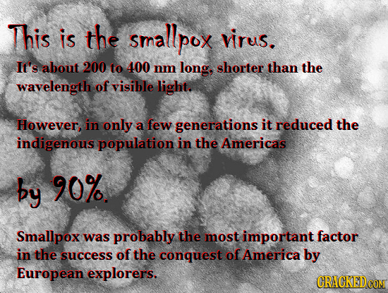 This is the smallpox virus. It's about 200 to 400 nm long, shorter than the wavelength of visible light. However, in only a few generations it reduced