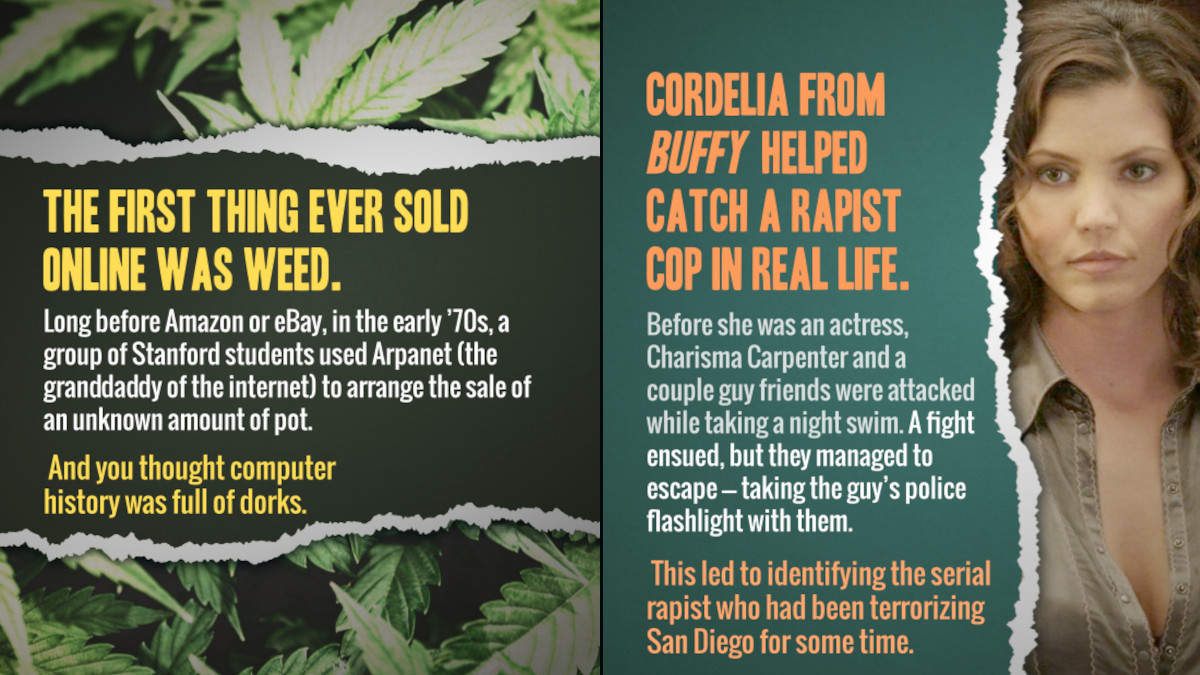 17 Random Facts to Scratch That Curiosity Itch in Your Brain