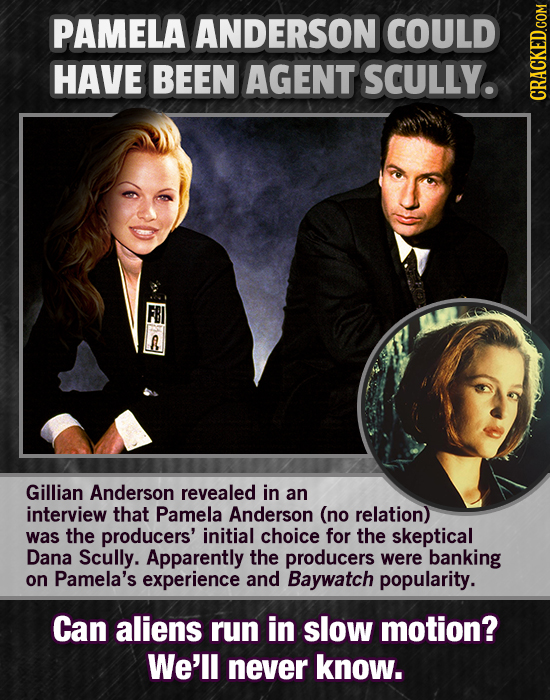 PAMELA ANDERSON COULD HAVE BEEN AGENT SCULLY. GRAGh R Gillian Anderson revealed in an interview that Pamela Anderson (no relation) was the producers'