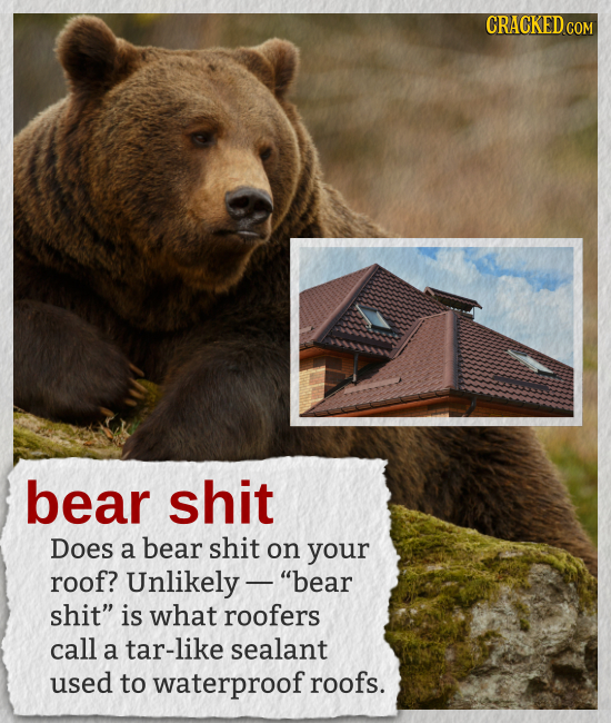 CRACKED bear shit Does a bear shit on your roof? Unlikely - bear shit is what roofers call a tar-like sealant used to waterproof roofs.