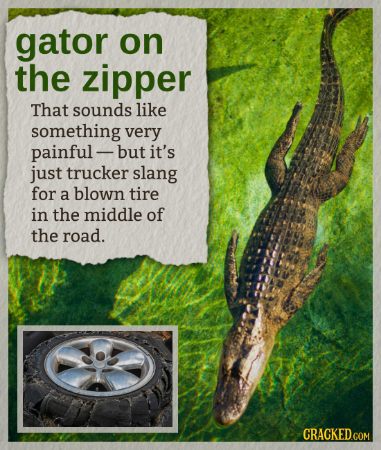 gator on the zipper That sounds like something very painful but it's just trucker slang for a blown tire in the middle of the road.