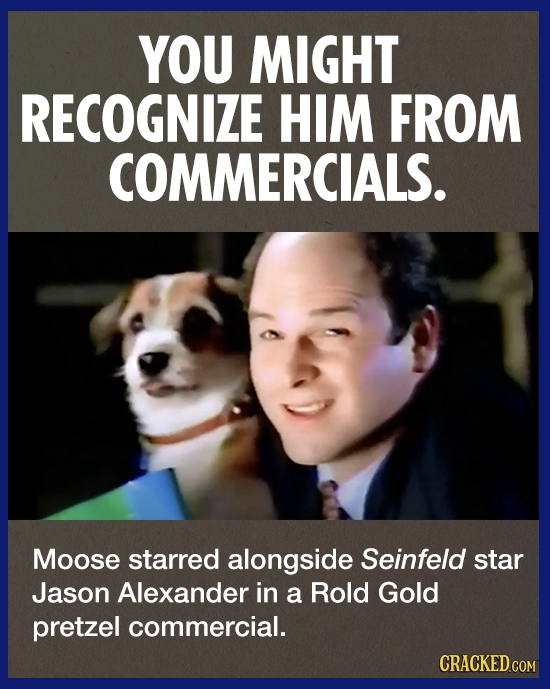 YOU MIGHT RECOGNIZE HIM FROM COMMERCIALS. Moose starred alongside Seinfeld star Jason Alexander in a Rold Gold pretzel commercial. CRACKED COM