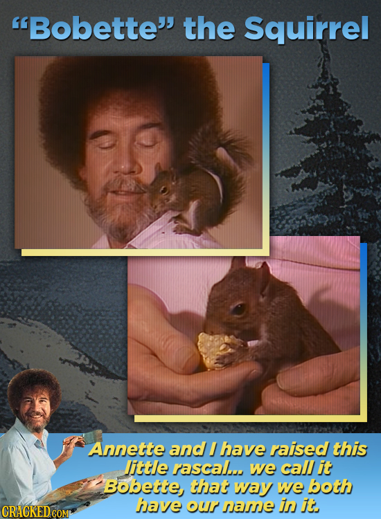 Bobette the Squirrel Annette and I have raised this little rascal... we call it BObette, that way we both have CRACKED.COM our name in je.