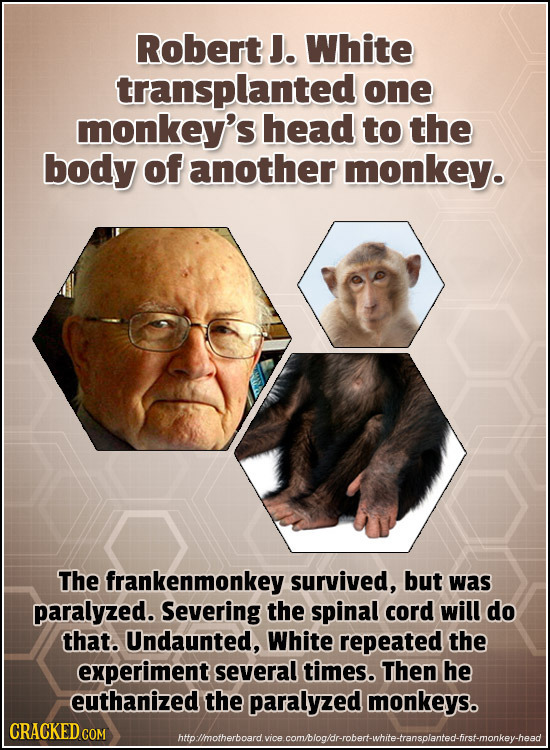 Robert J. White transplanted one monkey's head to the body of another monkey. The frankenmonkey survived, but was paralyzed. Severing the spinal cord