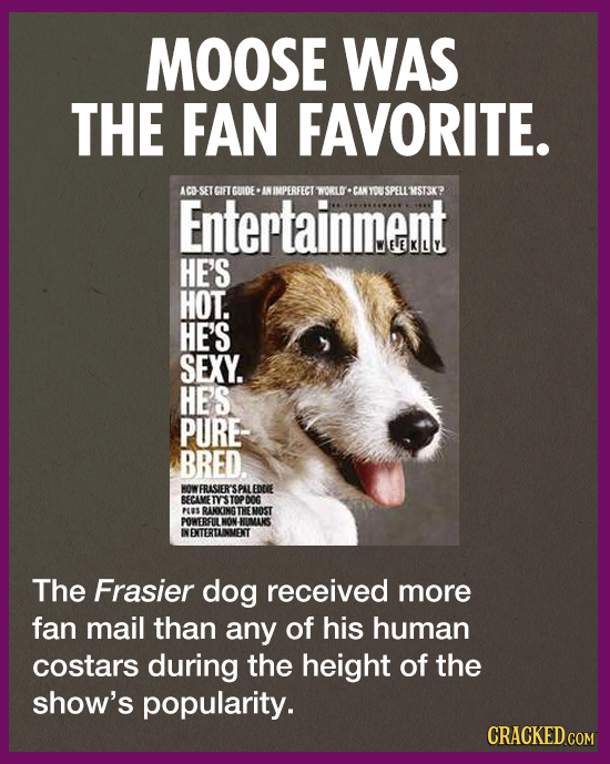 MOOSE WAS THE FAN FAVORITE. SET CIET CUIDE Entertainment INIMPERFECT WORLD CAN YOS SPELLMST3KP HE'S HOT. HE'S SEXY. HE'S PURE BRED. HOW FRALSIER SPAL