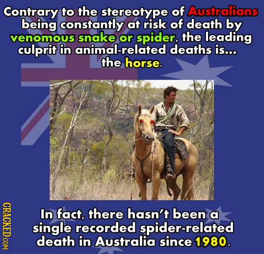 Contrary to the stereotype of Australians being constantly at risk of death by venomous snake or spider. the leading culprit in animal-related deaths