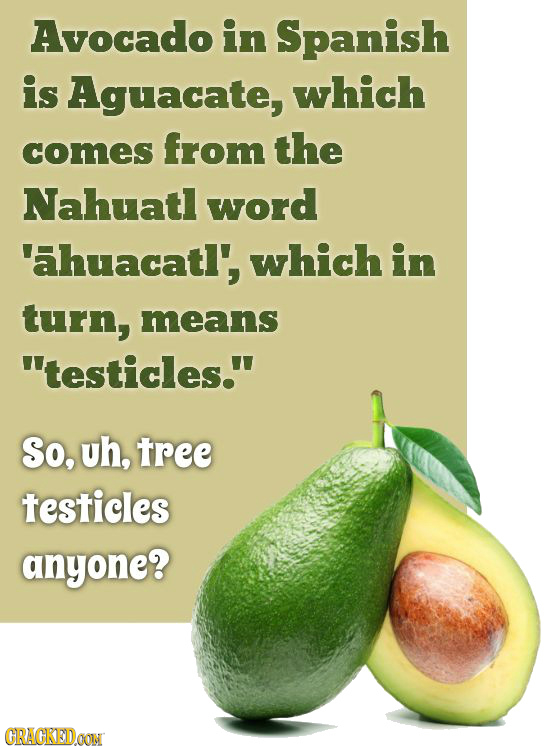 Avocado in Spanish is Aguacate, which comes from the Nahuatl word 'ahuacatl', which in turn, means testicles. So, uh, tree testicles anyone? CRAGKED