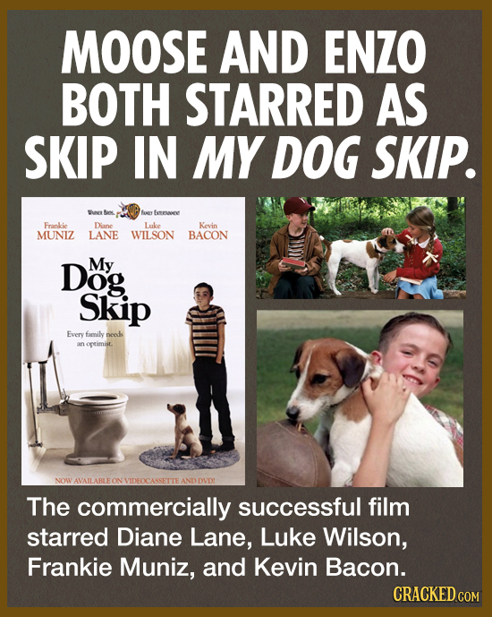 MOOSE AND ENZO BOTH STARRED AS SKIP IN MY DOG SKIP. uv Banc y feeree Frankie Diane Lauke Kevin MUNIZ LANE WILSON BACON Dog My Skip Every family neads