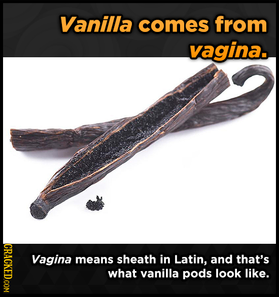 Vanilla comes from vagina. CRACKED.COM Vagina means sheath in Latin, and that's what vanilla pods look like.
