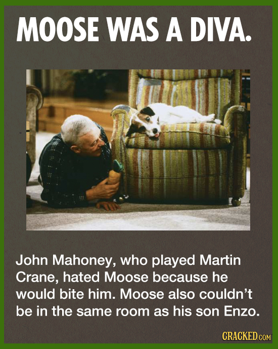 MOOSE WAS A DIVA. John Mahoney, who played Martin Crane, hated Moose because he would bite him. Moose also couldn't be in the same room as his son Enz