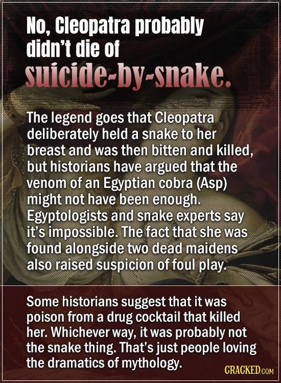 NO, Cleopatra probably didn't die of suicide-by-snake. The legend goes that Cleopatra deliberately held a snake to her breast and was then bitten and