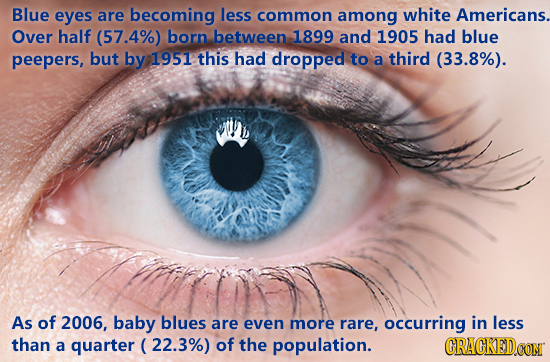 Blue eyes are becoming less common among white Americans. Over half (57.4%) born between 1899 and 1905 had blue peepers, but by 1951 this had dropped 