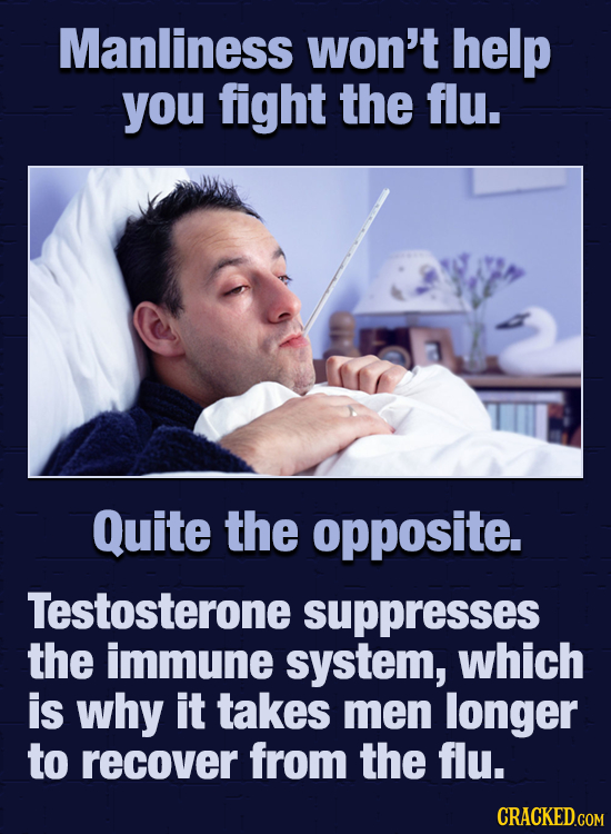 Manliness won't help you fight the flu. Quite the opposite. Testosterone suppresses the immune system, which is why it takes men longer to recover fro