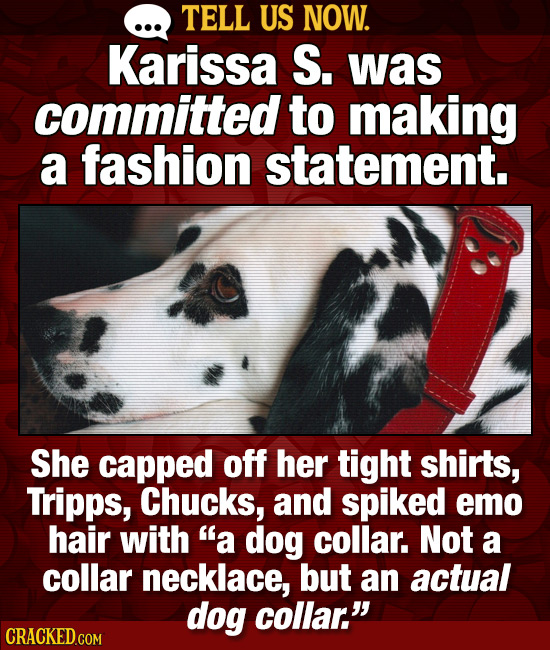 TELL US NOW. Karissa S. was committed to making a fashion statement. She capped off her tight shirts, Tripps, Chucks, and spiked emo hair with a dog