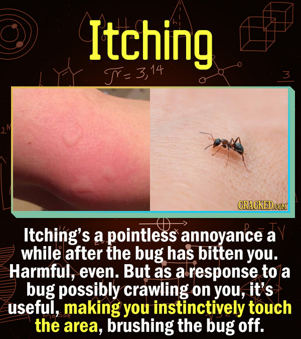 15 Scientific Explanations For Dumb Everyday Problems -