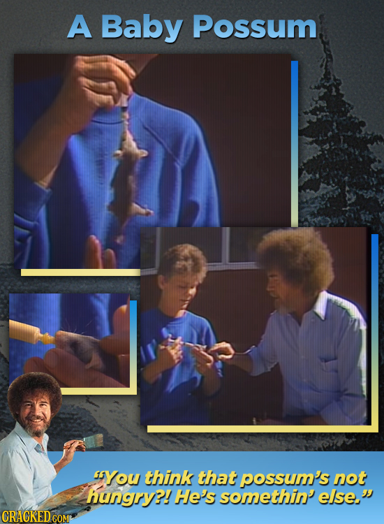 A Baby Possum You think that possum's not hungry?! He's somethin' else.