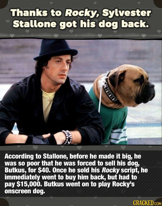 Thanks to Rocky, Sylvester Stallone got his dog back. According to Stallone, before he made it big, he was sO poor that he was forced to sell his dog,