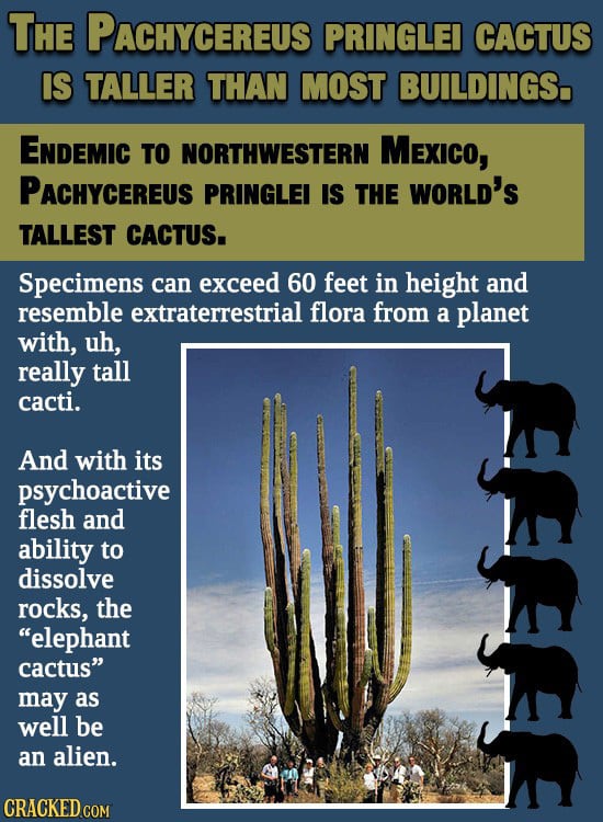 Hp photo creations Hp photo creations