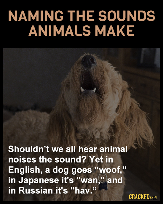 14 Human Behaviors That Seem Universal But Aren't