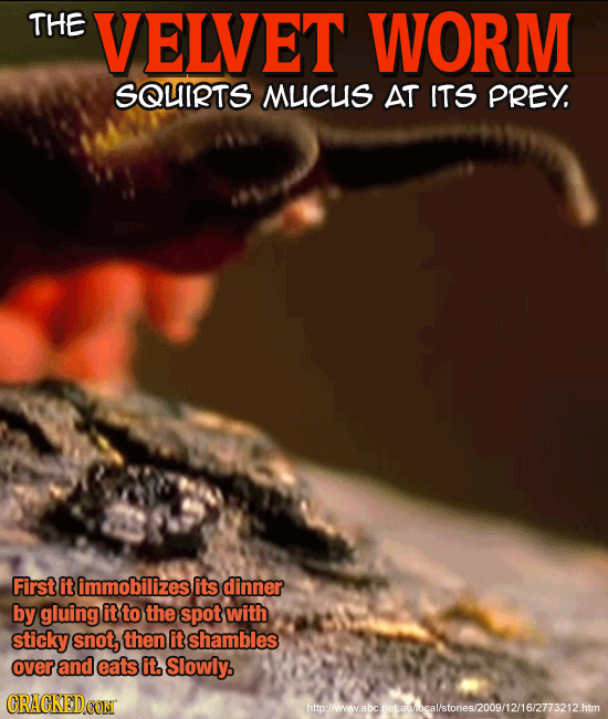 24 Terrifying Real-World Monsters You Won't Believe Exist