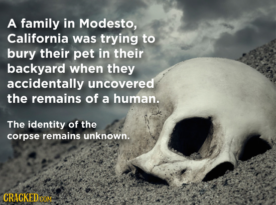 A family in Modesto, California was trying to bury their pet in their backyard when they accidentally uncovered the remains of a human. The identity o