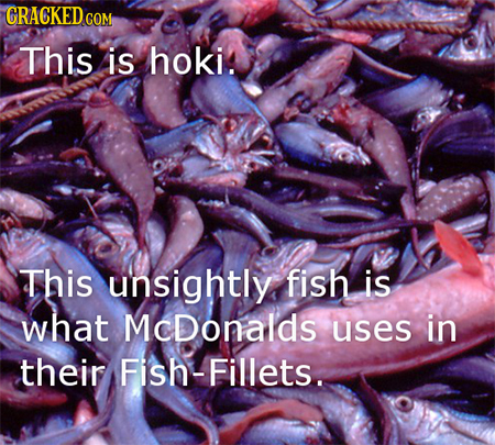GRACKEDCON This is hoki. This unsightly fish is what McDonalds uses in their Fish-Fillets. 